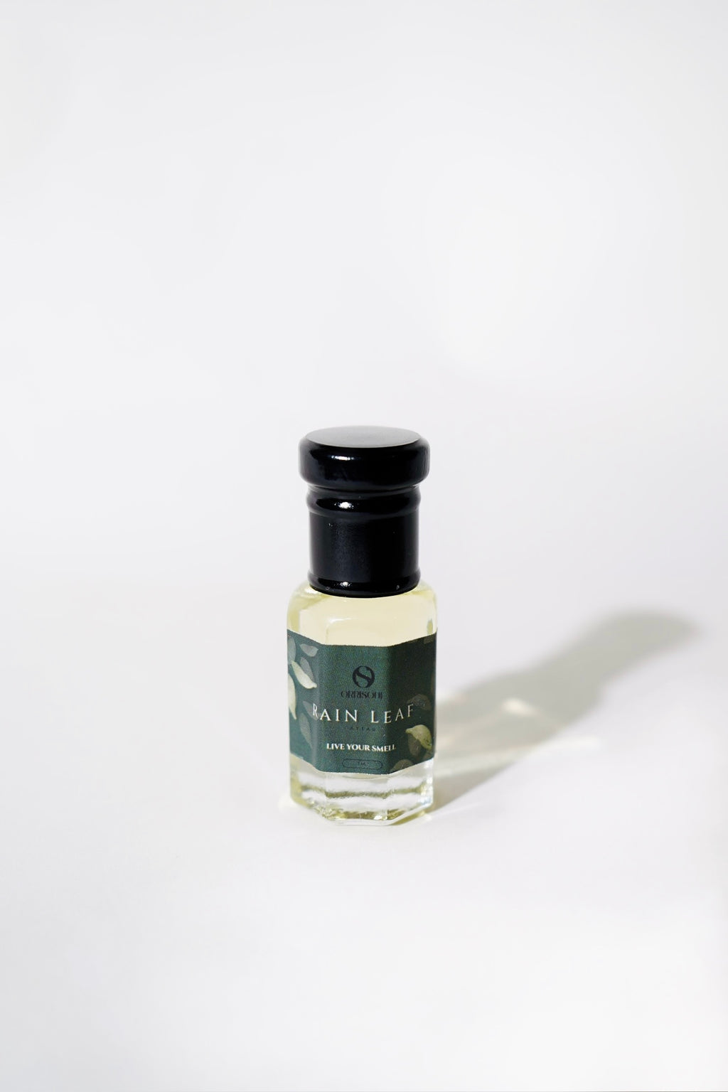 Rain Leaf – Premium Unisex Attar | Fresh & Green Earthy Notes | Long-Lasting Perfume Oil (5ml Roll-on)